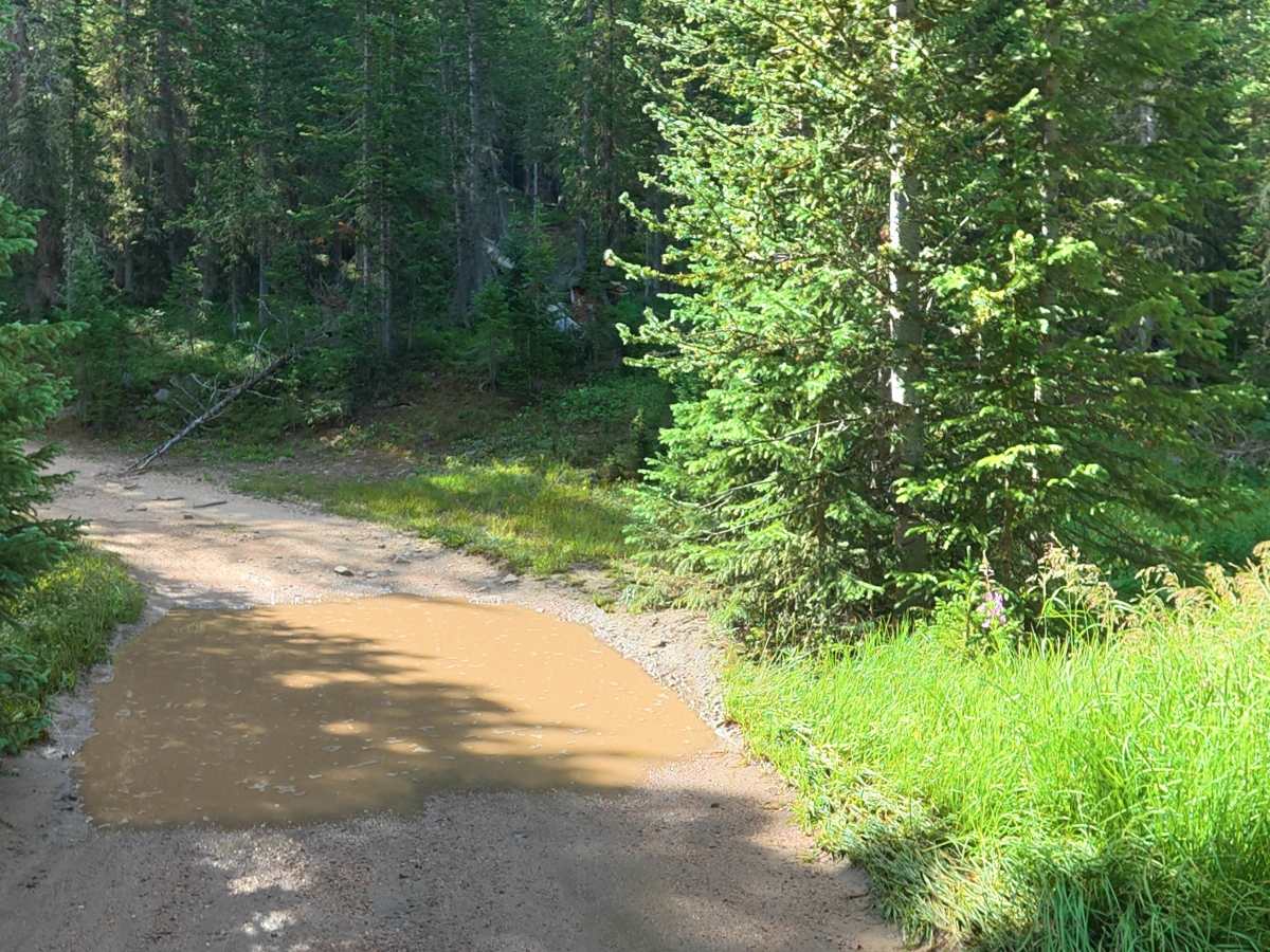 Grace Creek Road - FS 143 photo 5