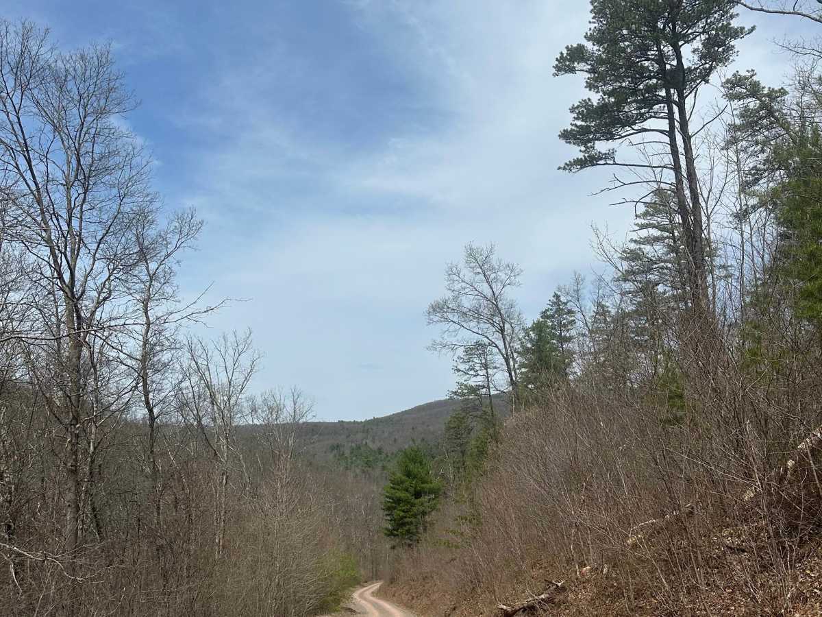 Alleghany Line Road trail photo