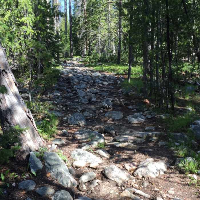 Near Idaho Centennial Trail: Section 23