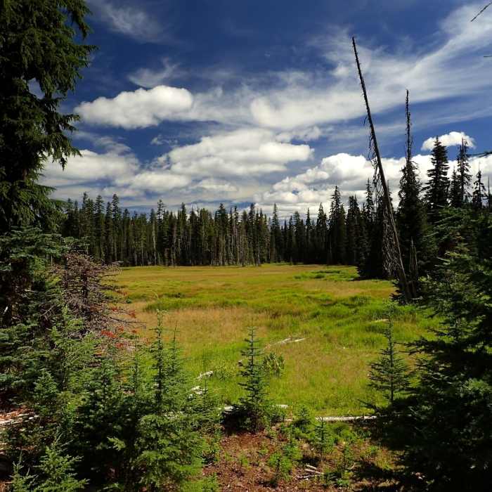 Near Blue Lake Basin Loop