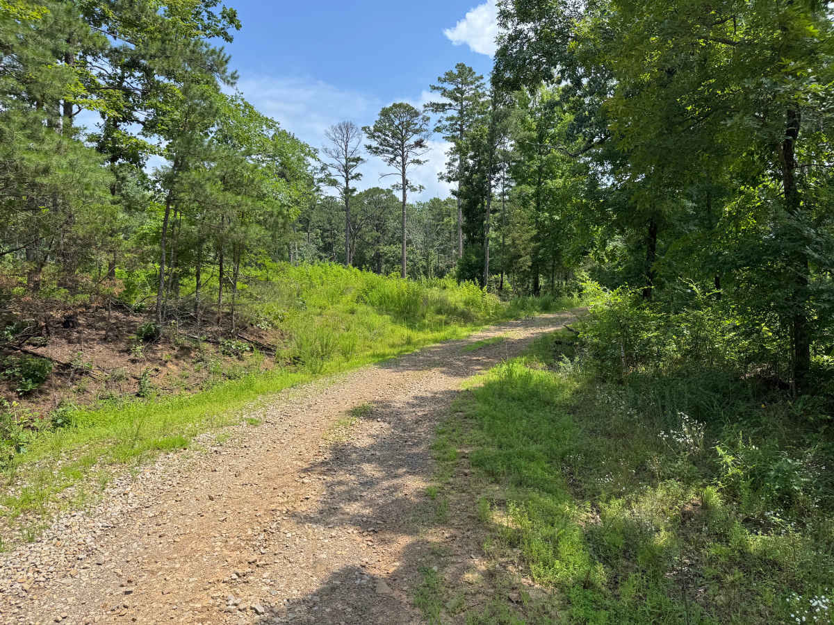 Sawyer trail photo