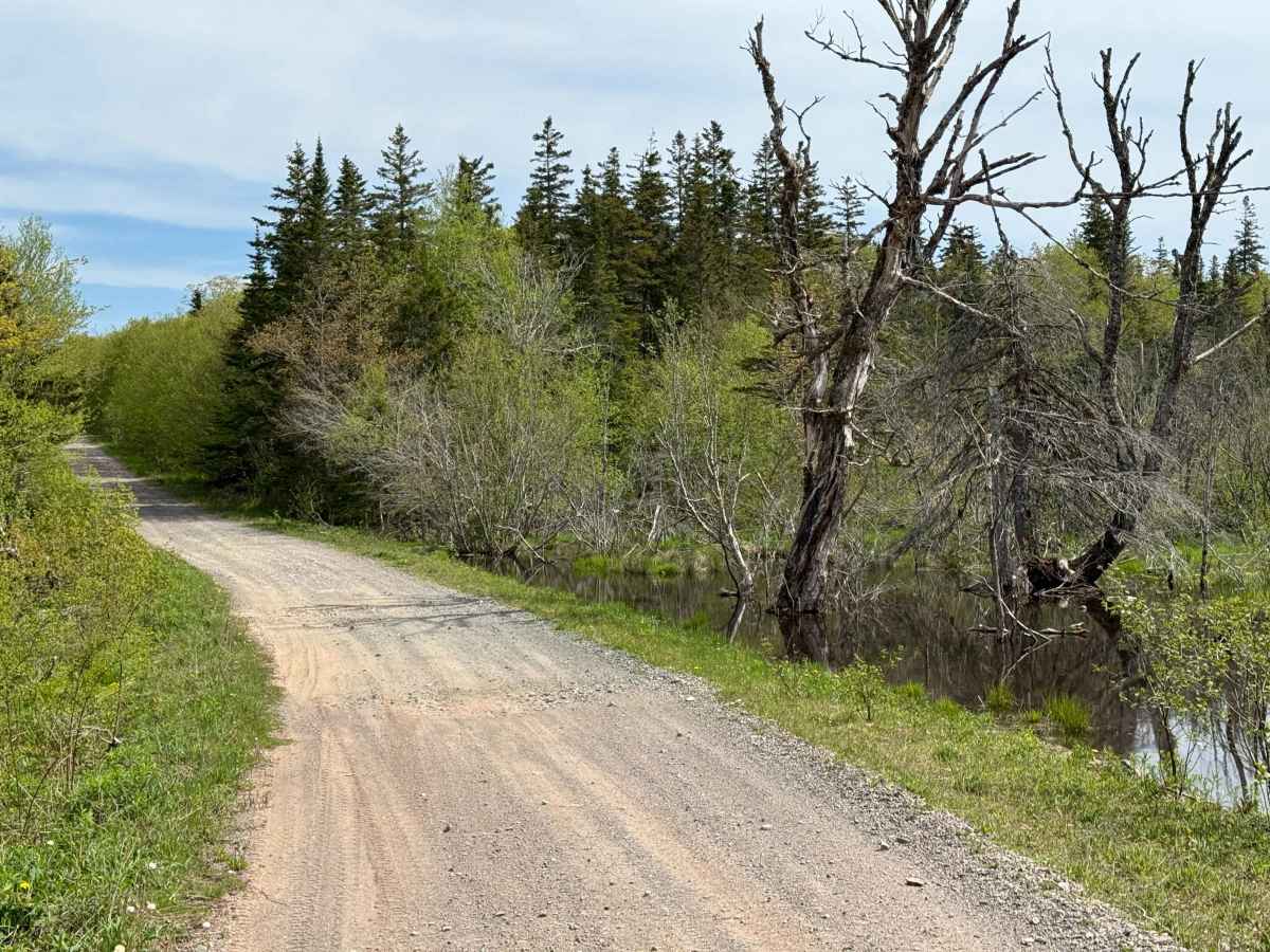 Whycocomagh Mountain Road Trail photo 3