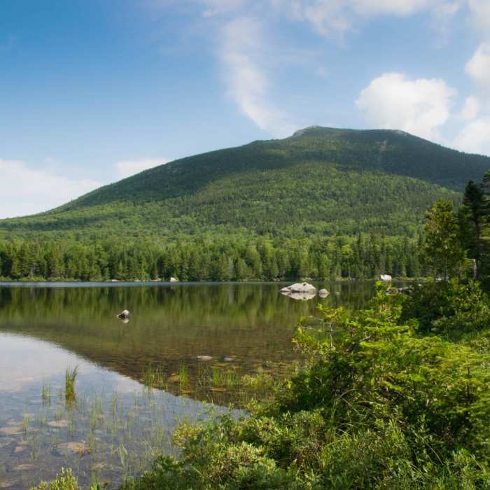 Near South Turner Mountain via Sandy Stream Pond