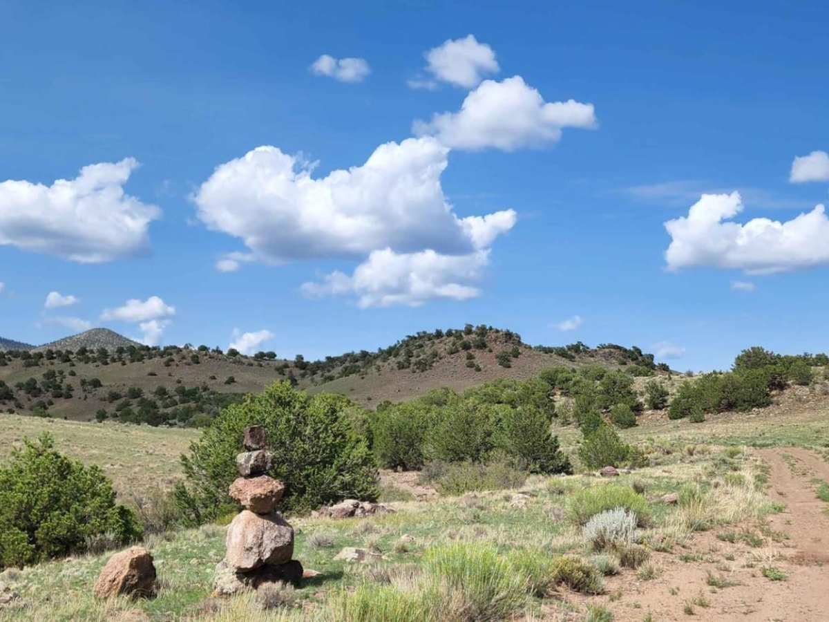 Pinon photo 5