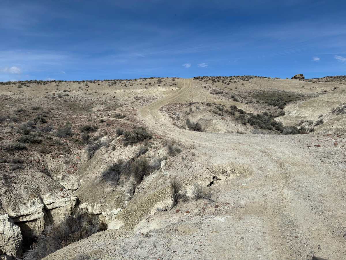 BLM 129 photo 3