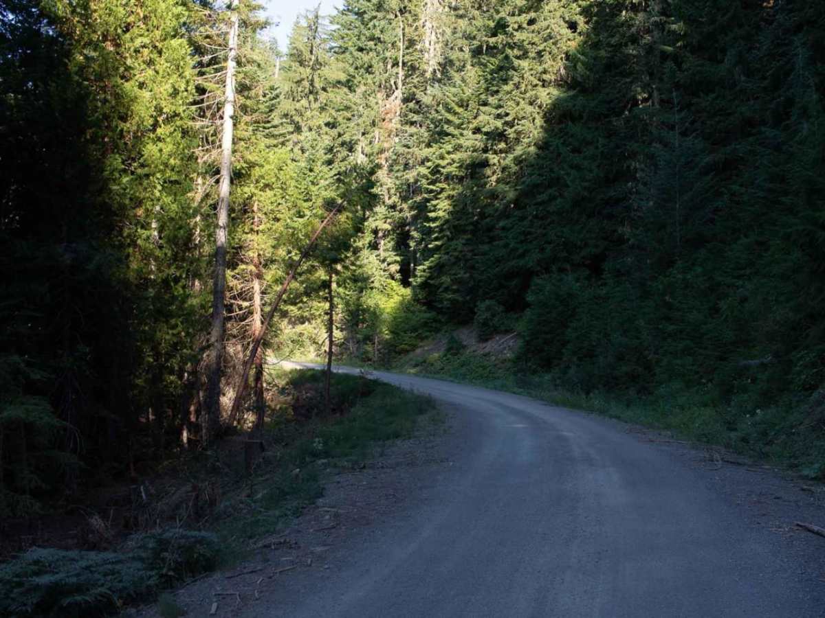 Copeland Creek photo 3