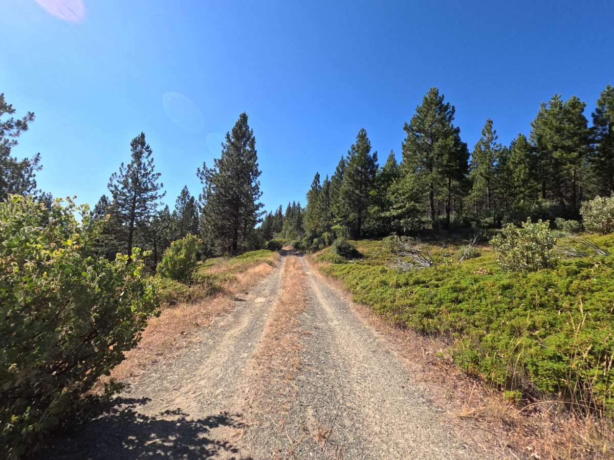 FS 1S25A trail photo