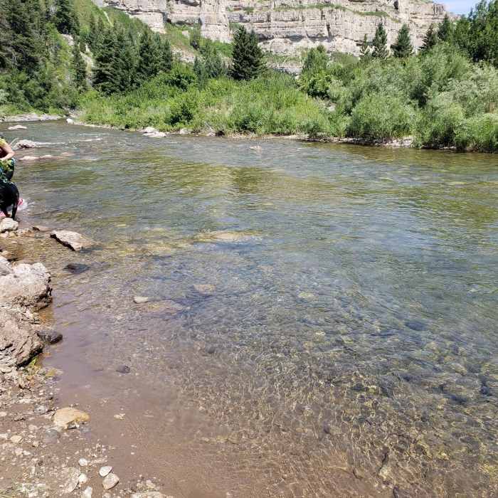 Near Sluice Box Trail North Section