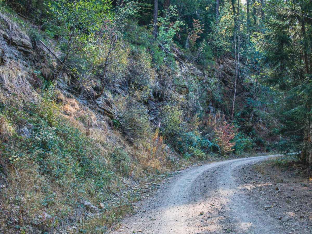 Dixon Mountain trail photo