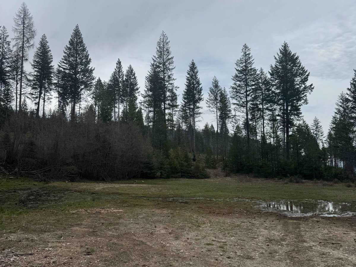 FS 6100-078 photo 5