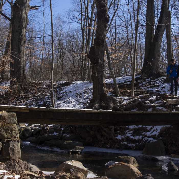 Wooden Bridge Near White Trail