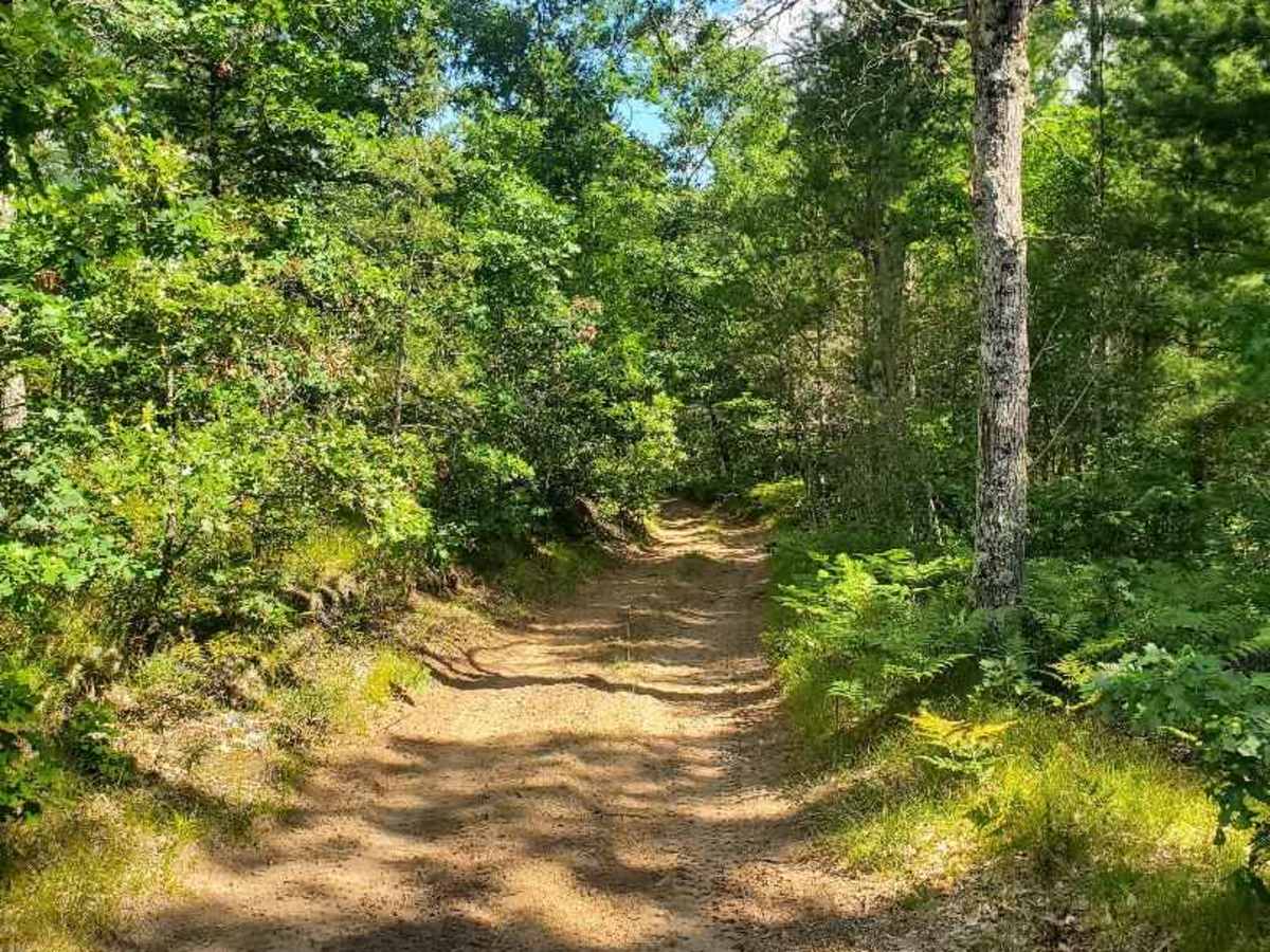 The Outer Dogman Trail photo 6