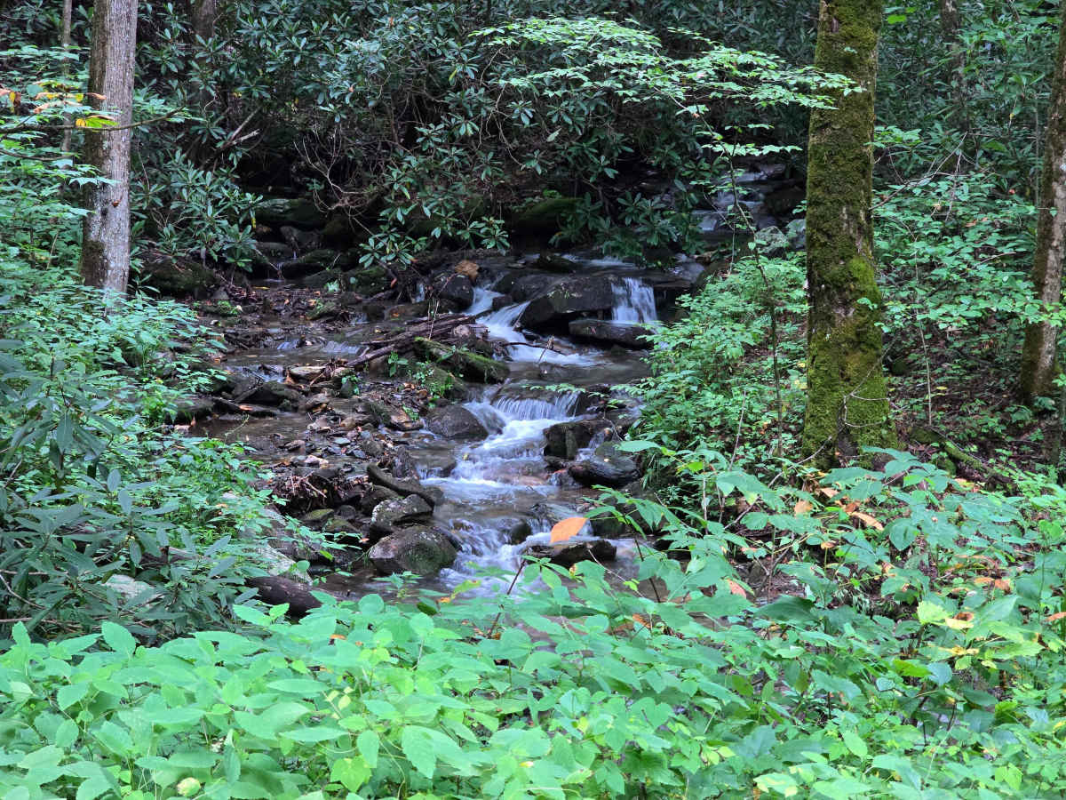 Derreberry Gap - FS 6148 photo 2