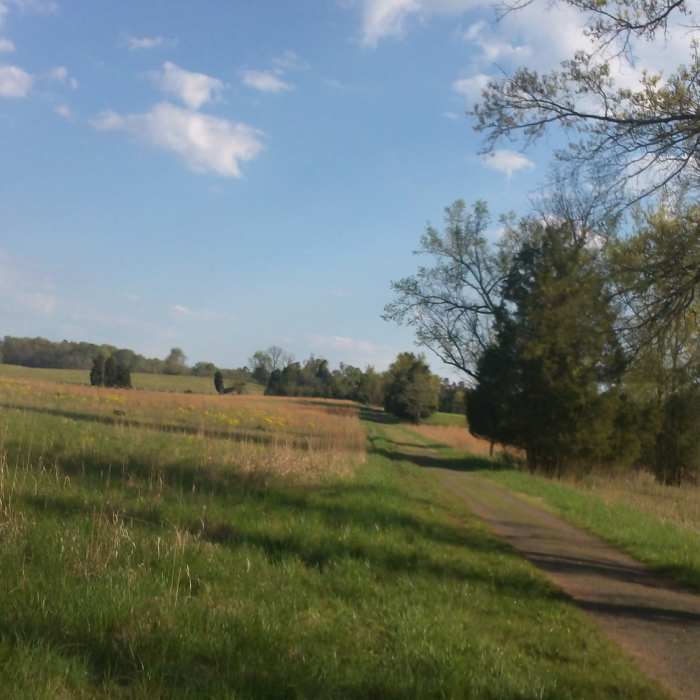 Near Manassas Battlefield Bridle Trail Loop