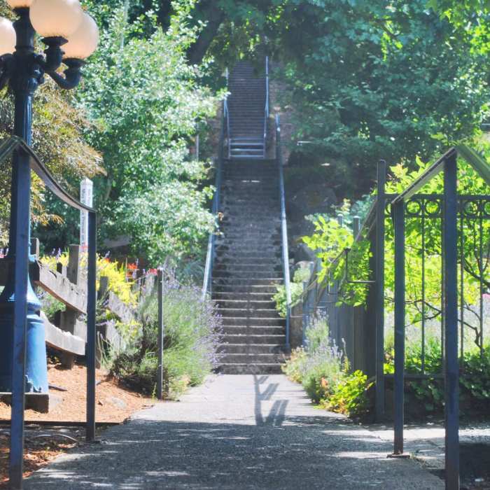 Near Indian Creek Trail