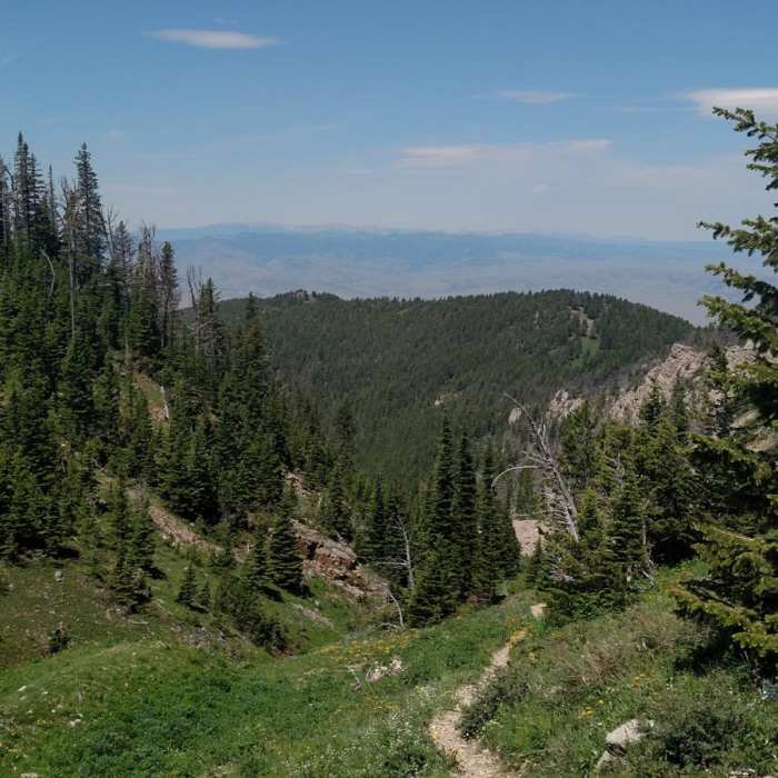 Near Livingston Peak