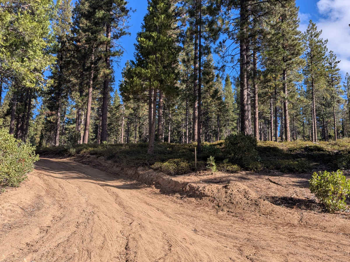FS 4N61 trail photo