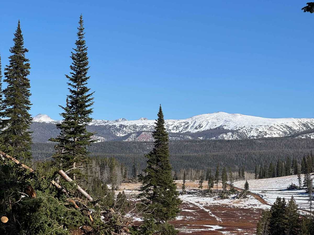 Gold Hill Pass trail photo