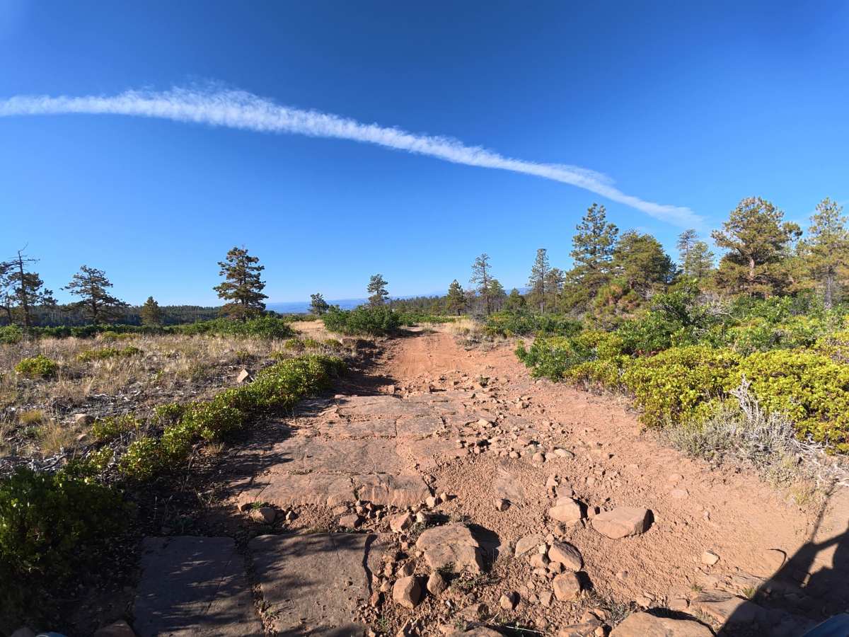Long Canyon Road photo 2