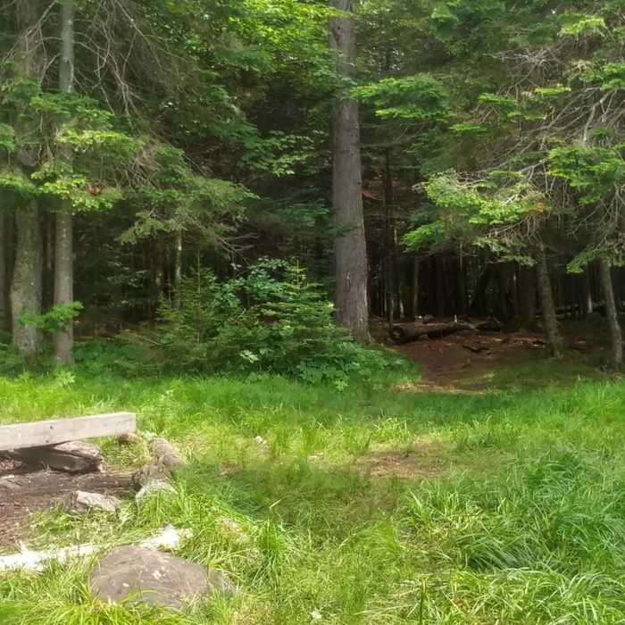 Near Whiteface Landing