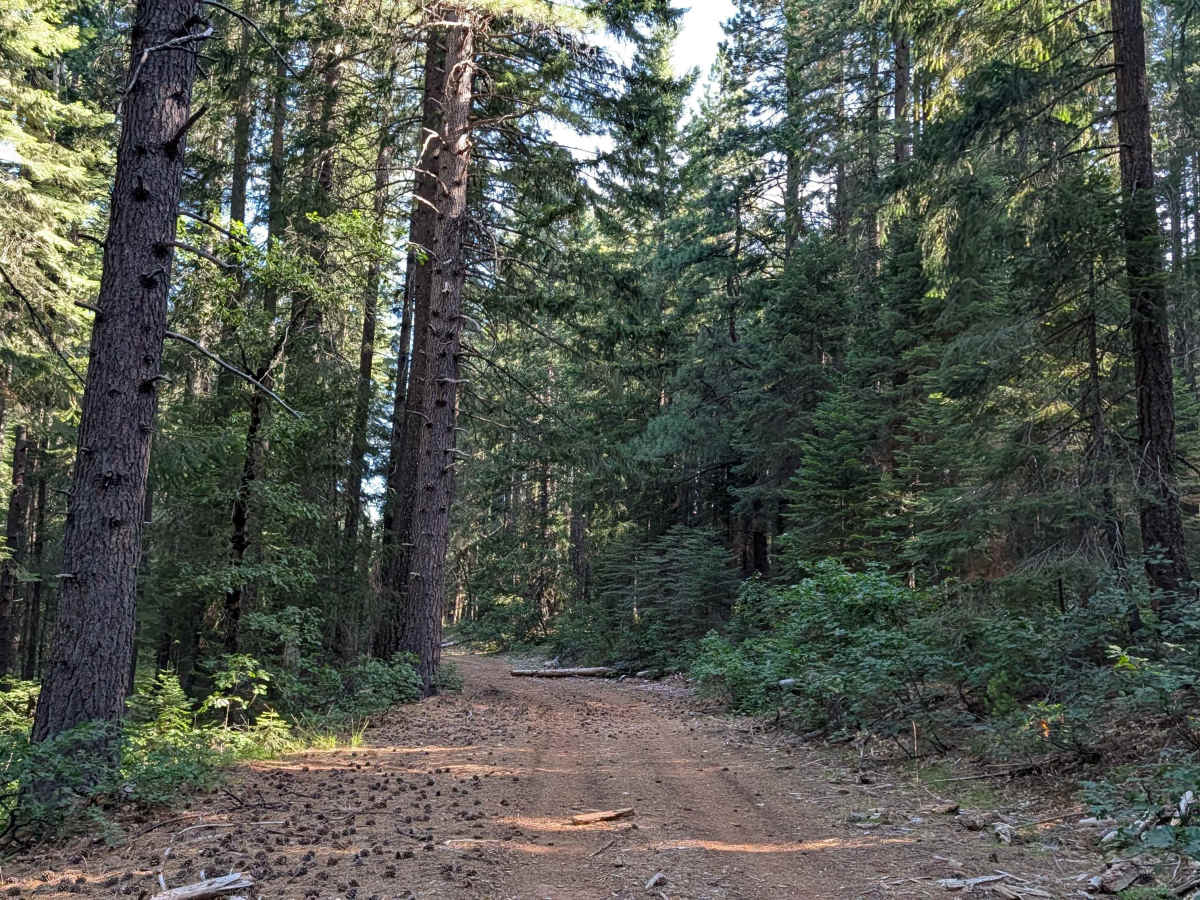 Dead Horse Canyon - FS 40N10 photo 3