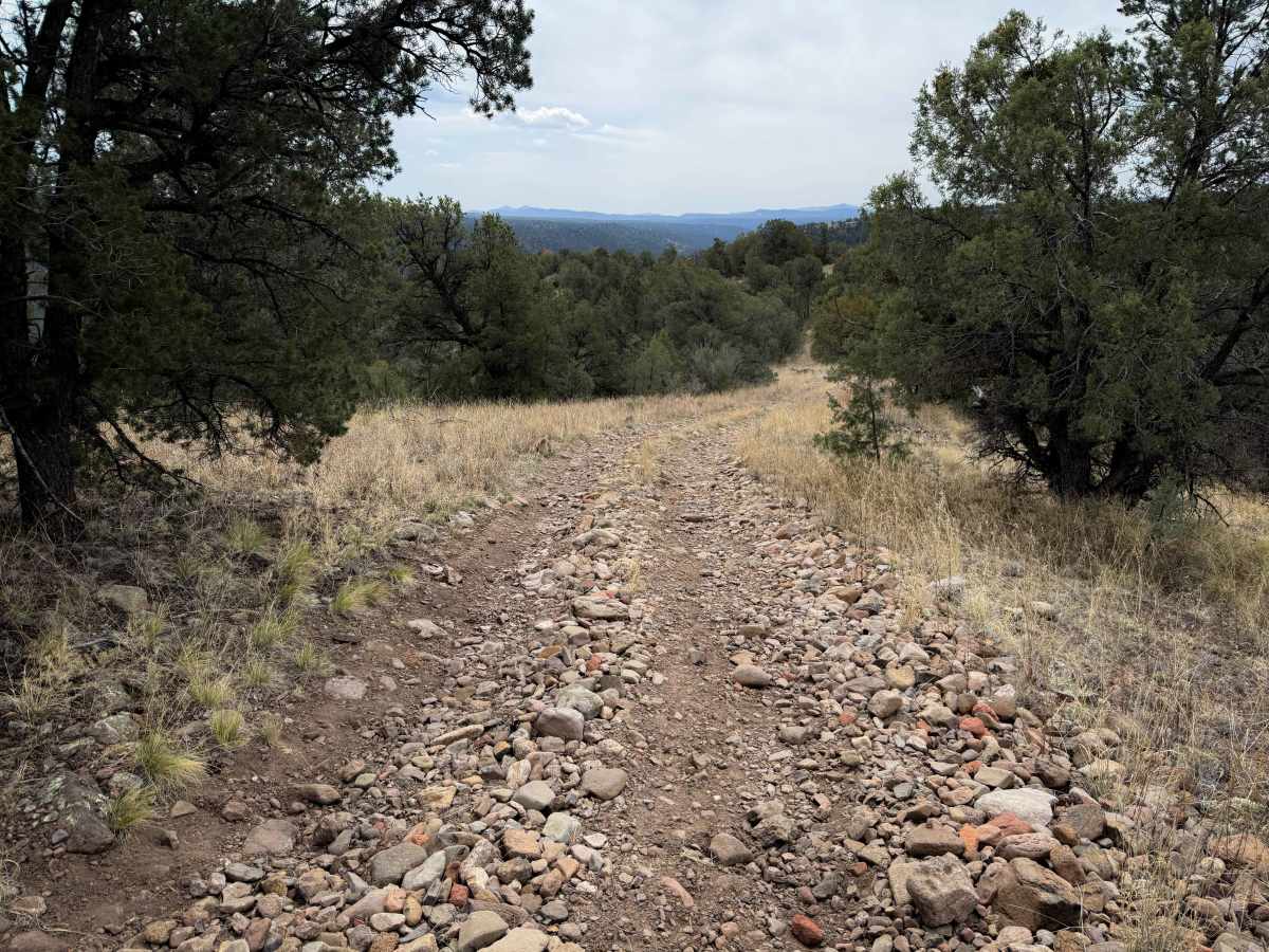 Trail 967 photo 3