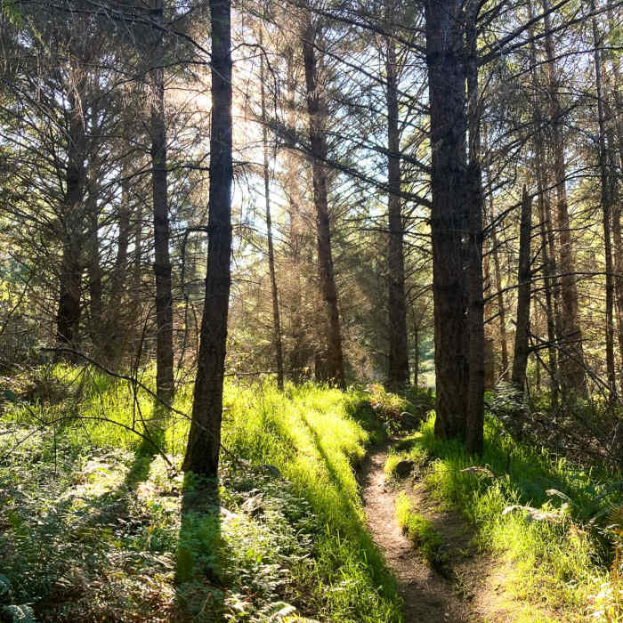 Near Mount Wittenberg via Horse Trail