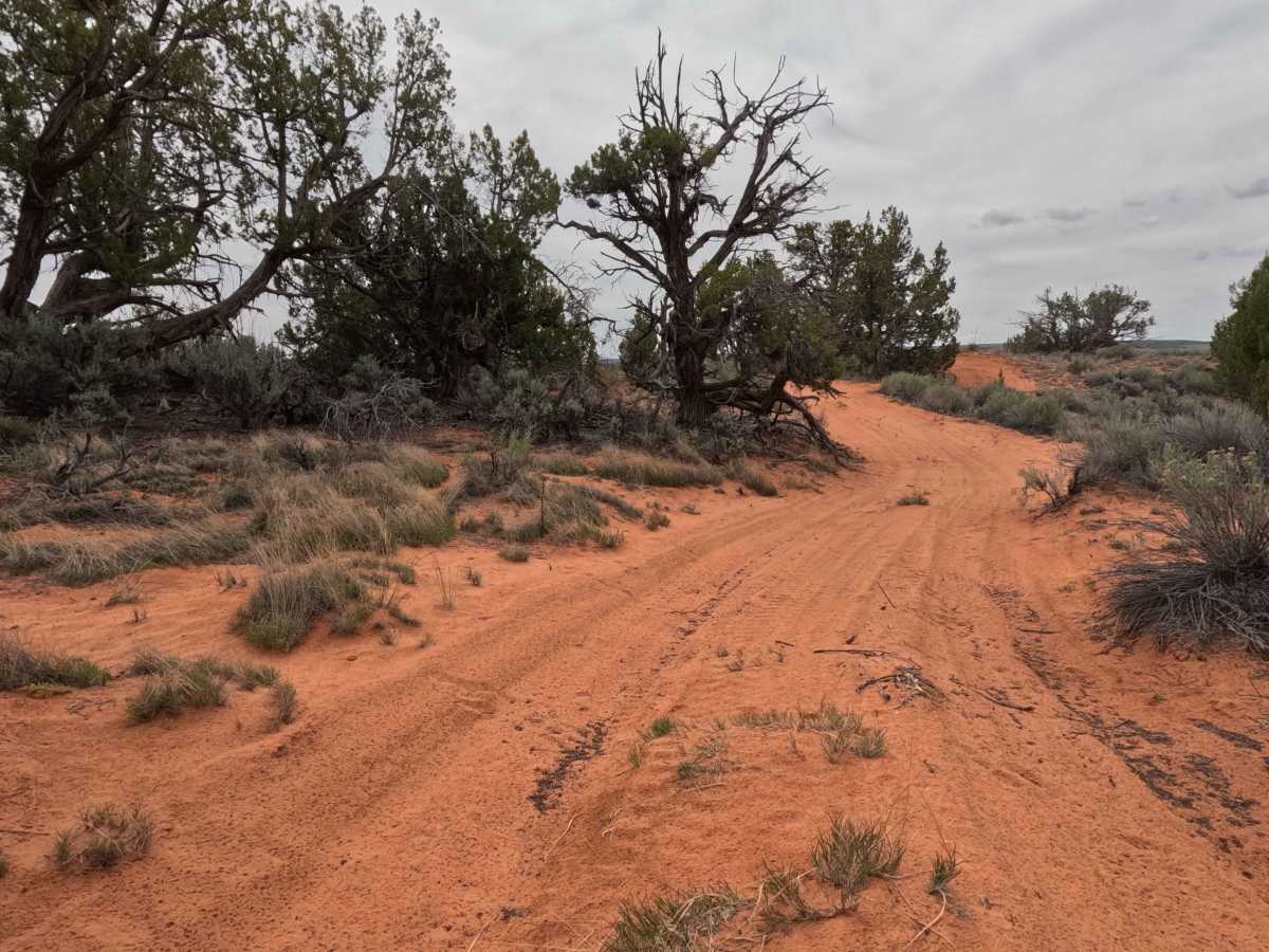 BLM 61G trail photo
