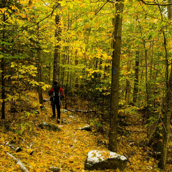 Near Mount Flume + Mount Liberty Loop Near Mount Flume + Mount Liberty Loop