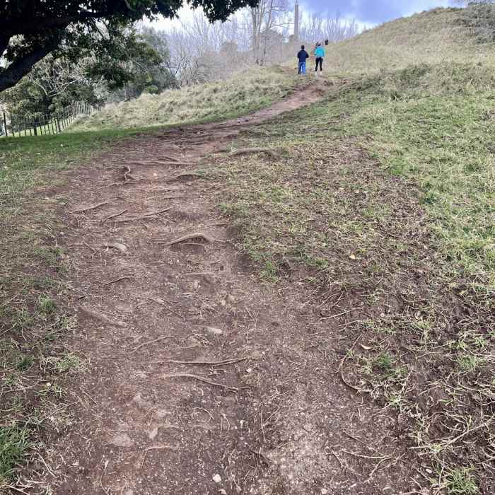 Near One Tree Hill Hike