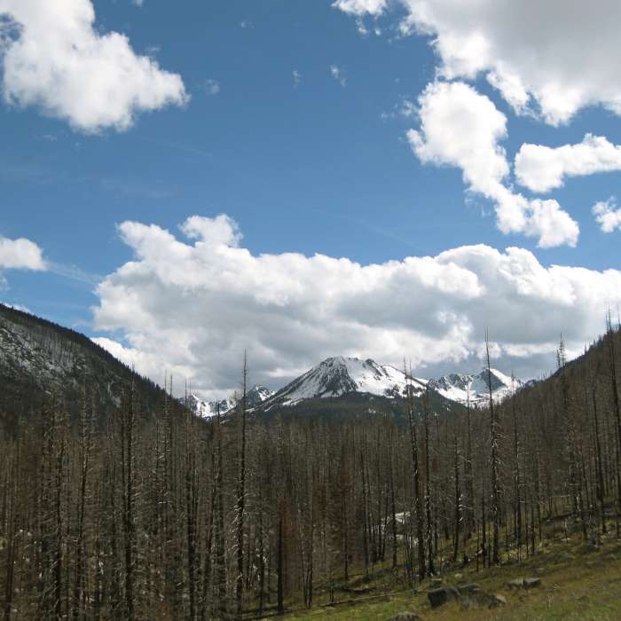 The impressive West Fork of the Boulder River drainage. Near West Fork Boulder River