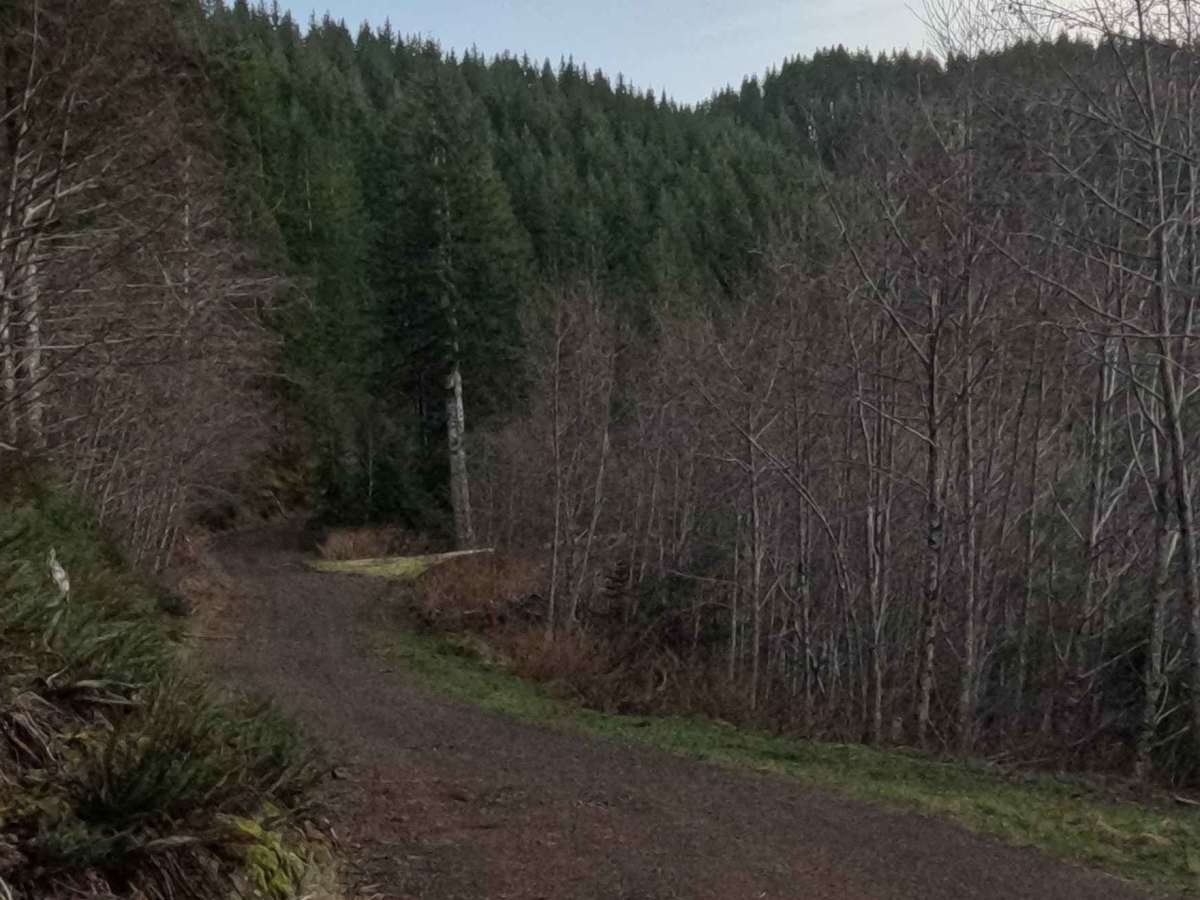 Simmons Ridge Road photo 2