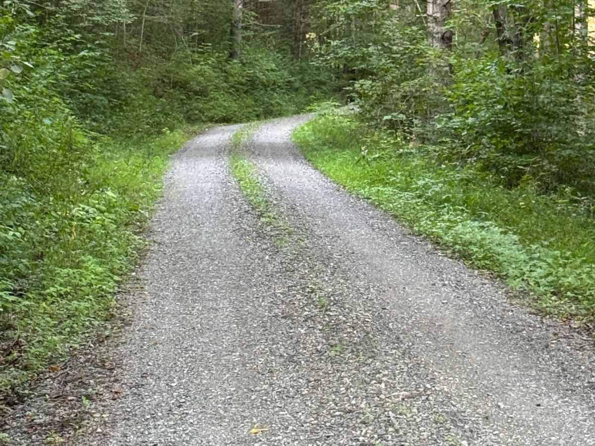 Limbaugh Road photo 5