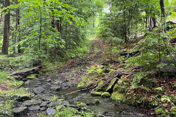 Porter Road
