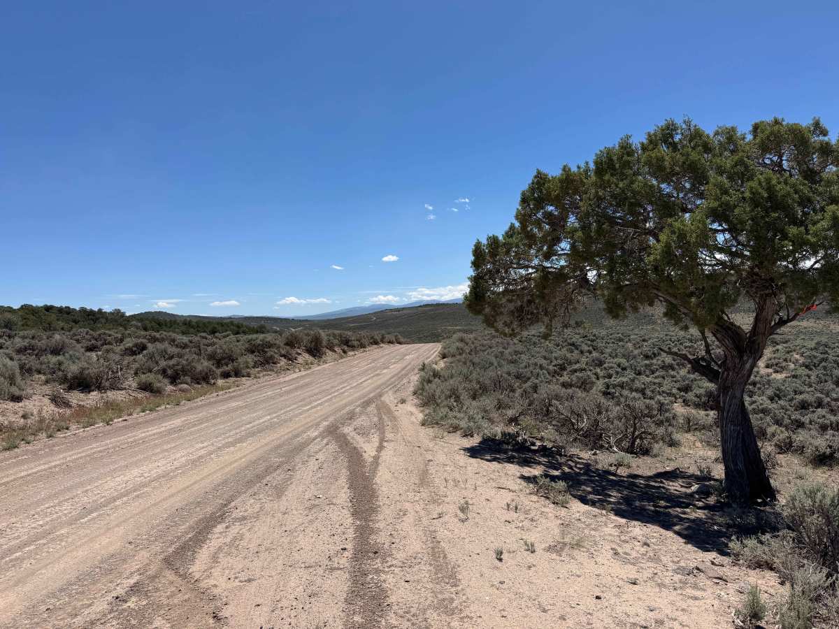 Trail Gulch Road 6 photo 5