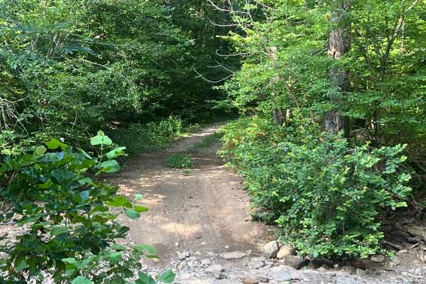 Victor Millsaps Trail 