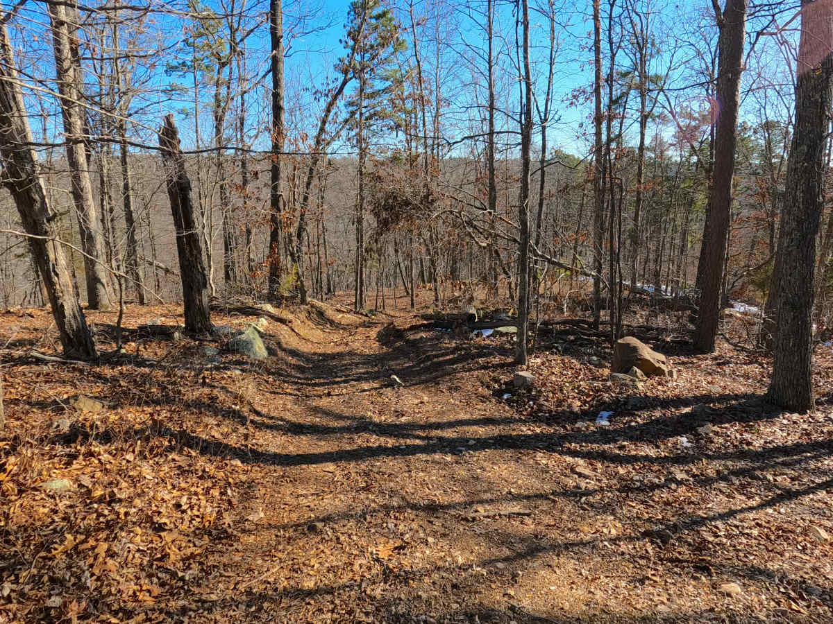 Sutton Bluff ATV 4 South - SB 4 photo 6