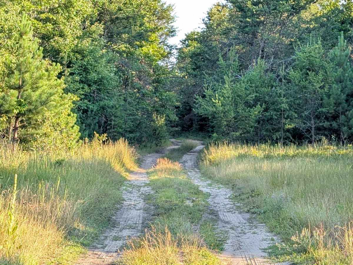 The Flats Trail photo 2