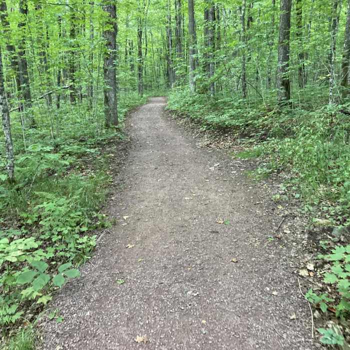 Near Morgan Falls Trail Near Morgan Falls Trail