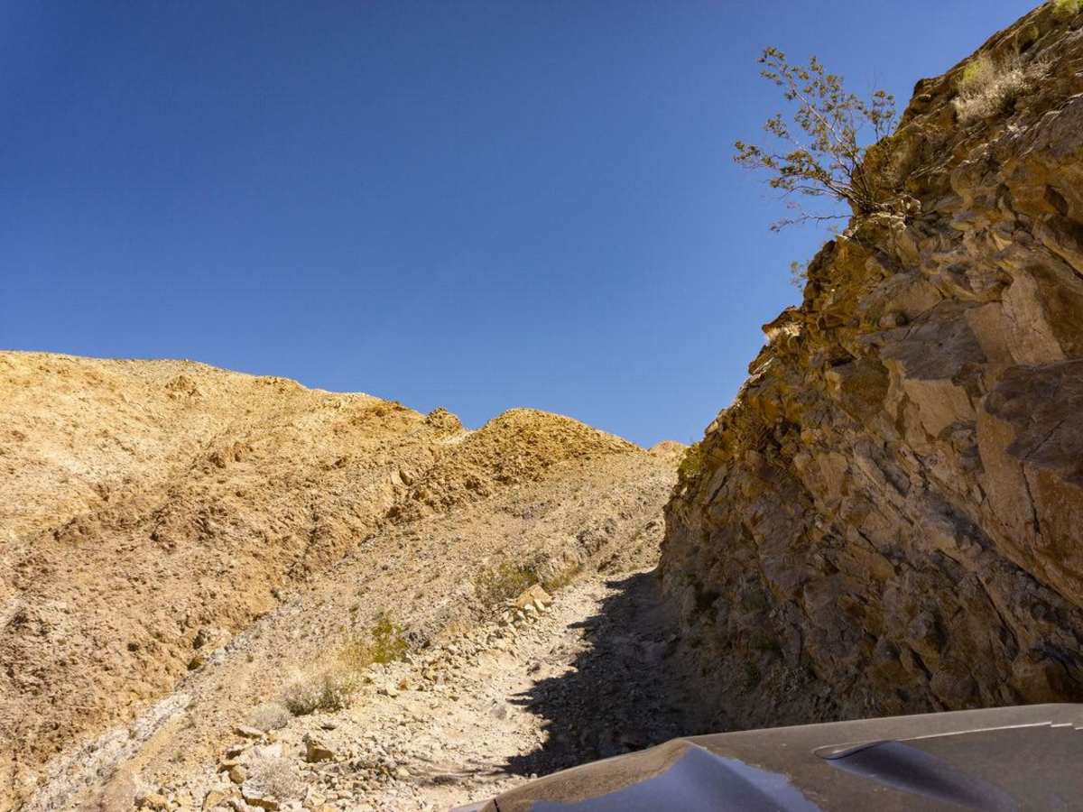 Lippincott Pass trail photo