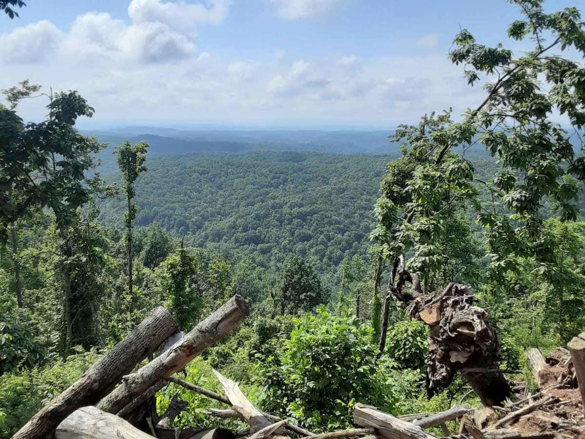 Camp Creek Trail photo 4
