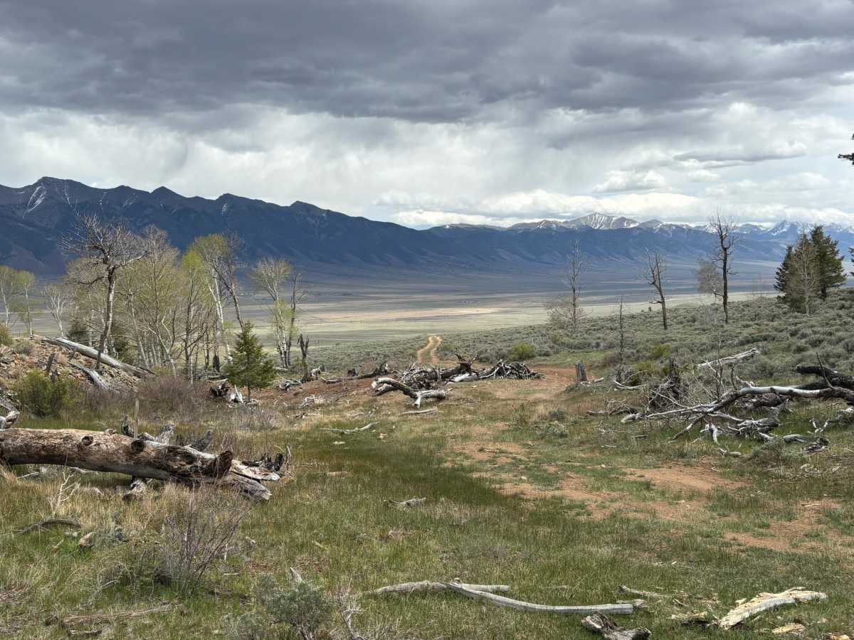Wild Bill Gulch Road photo 5
