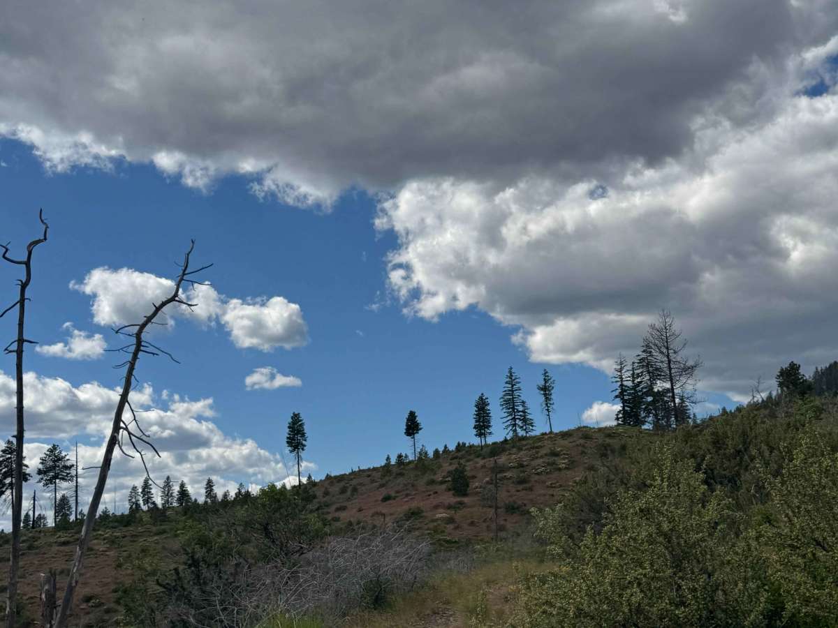 Garrett Canyon Road photo 4