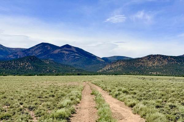 South Sawmill Creek “Loop” - FS 44424