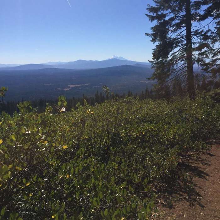 Near Pacific Crest Trail: Oregon Section B - Highway 5 to Highway 140 (near Fish Lake)