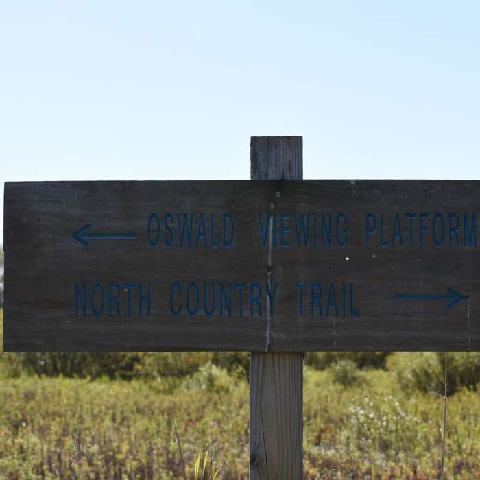 Near Oswald Viewing Platform via the North Country Trail Near Oswald Viewing Platform via the North Country Trail
