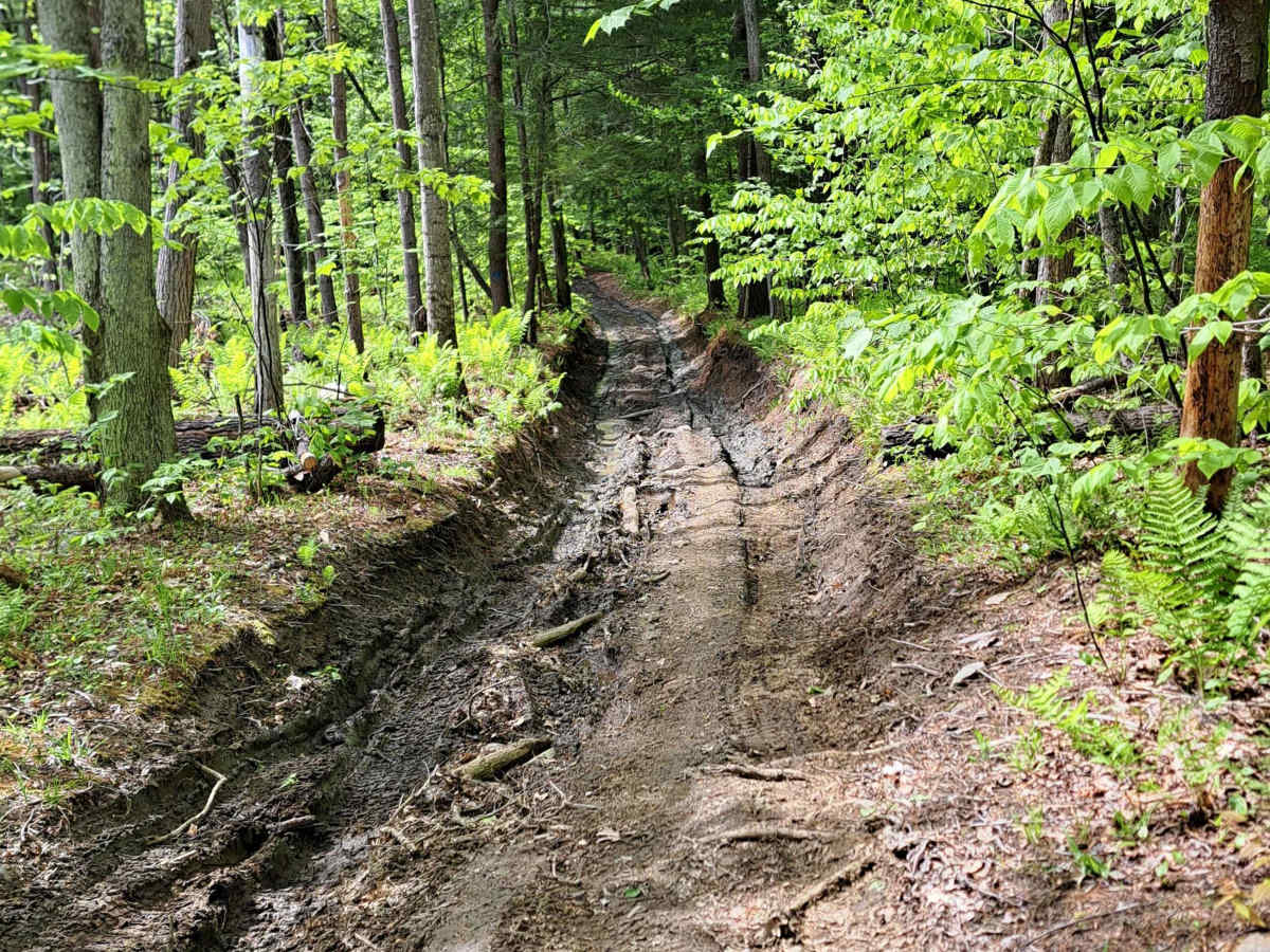 Podunk Road trail photo