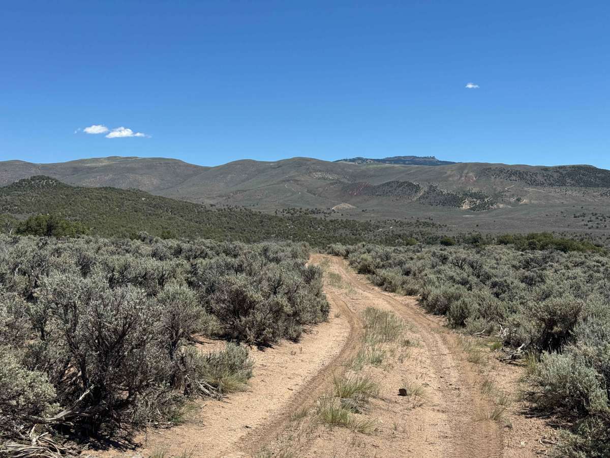 BLM 8477C photo 4