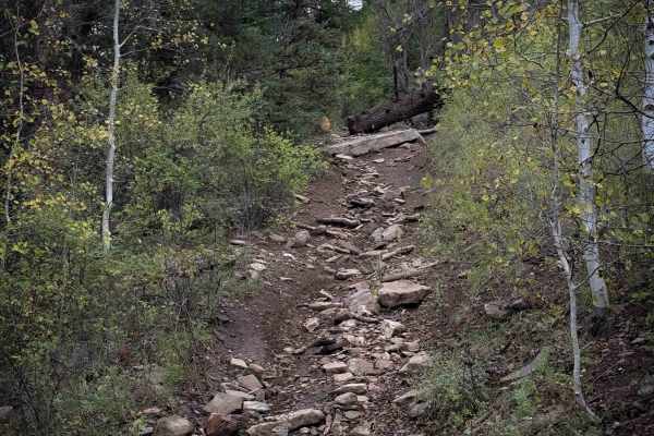 La Cueva Canyon Trail - FS 492 