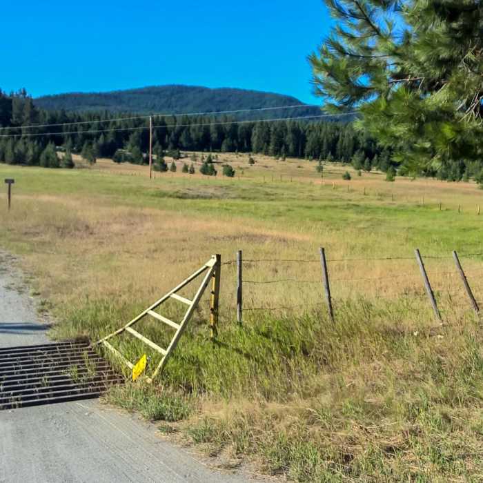 Near Pacific Northwest National Scenic Trail Section 8